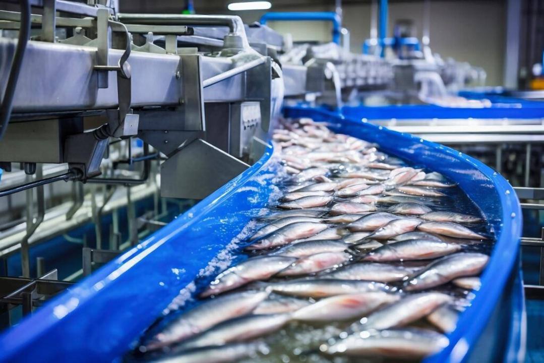 Президент агроөнеркәсіп саласындағы озық тәжірибелерді бүкіл елге таратуды тапсырды