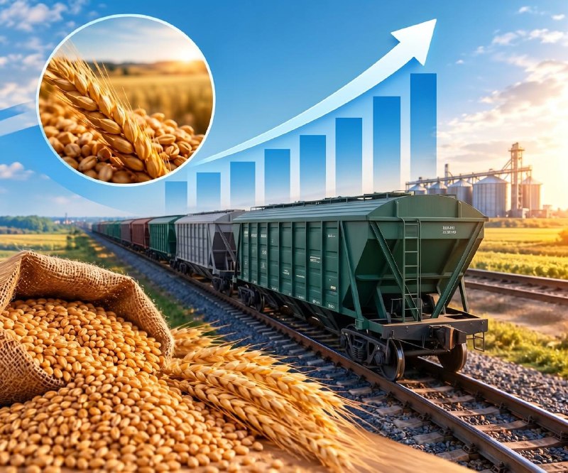 Қазақстанда астық тасымалдау көлемі 12%-ға өсті