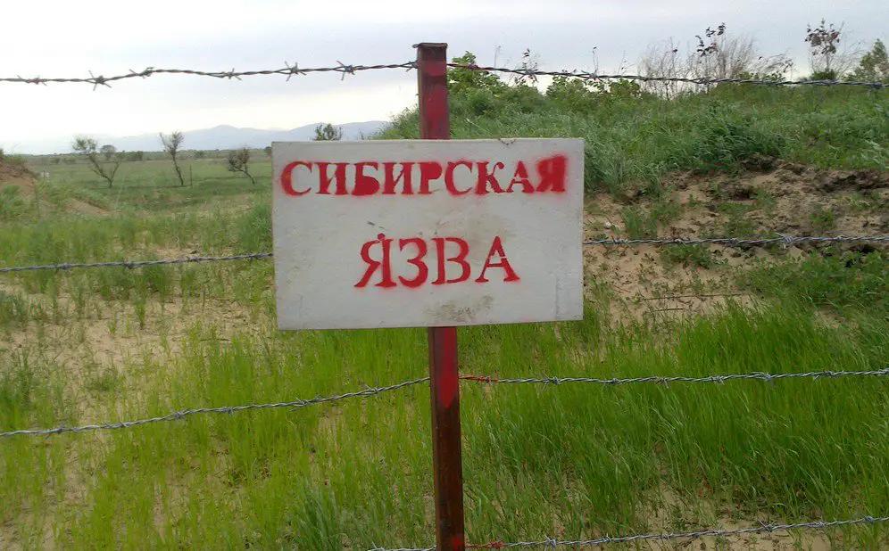 Қосшыда 500 үй сібір жарасы қорымының жанында салынған: алаңдауға негіз бар ма 