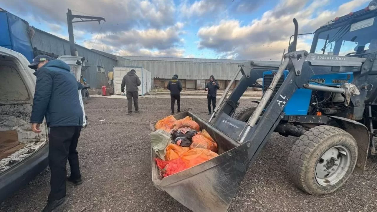 Подпольный мясной цех выявили в Астане