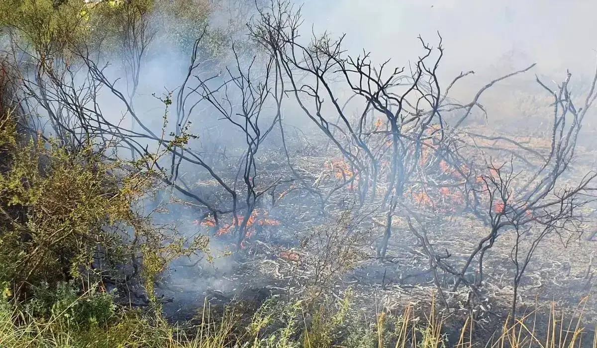 Абай облысында құрғақ шөп пен қамыс өртеніп жатыр