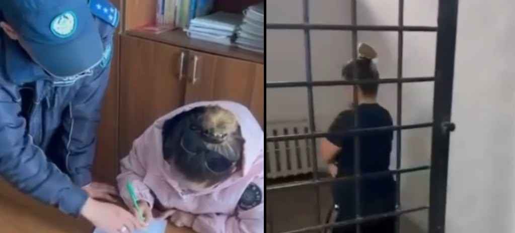 Қарағанды облысында TikTok-та бейәдеп сөз айтқан әйелге айыппұл салынды
