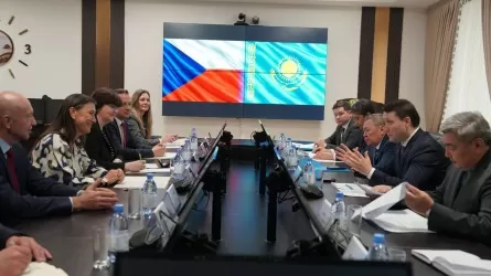 Казахстан и Чехия увеличили аграрную торговлю на 31%