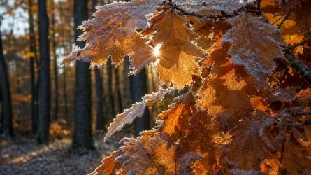  Снег, дожди и заморозки до &minus;9 &deg;C: какой будет погода в Казахстане 30 октября 