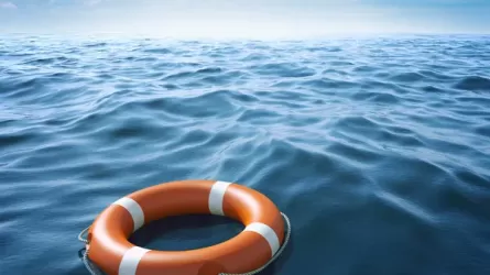 Женщина провела 20 часов в море после падения с круизного лайнера