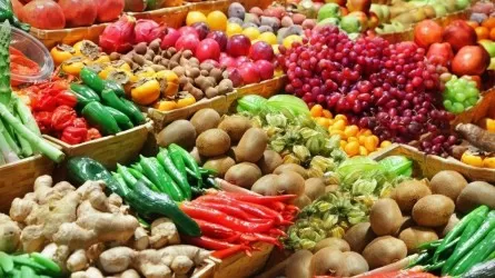 Фермеры трех регионов привезут в Астану более 1600 тонн продуктов на ярмарку