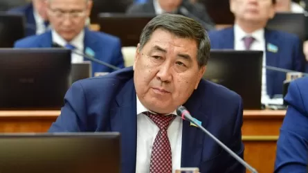 Кто должен решать судьбу Казахстана: Бапи поднял вопрос о защите выборов