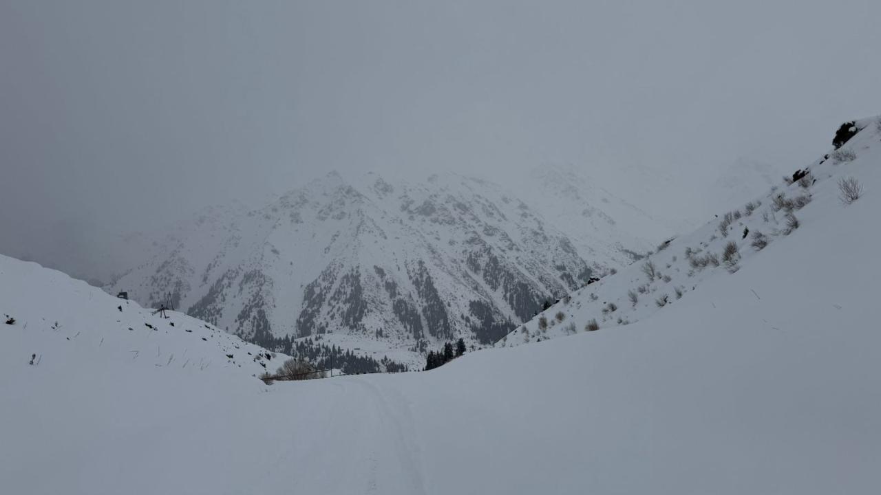 ТЖМ таулардағы қар көшкіні қаупі туралы маңызды ескерту жасады