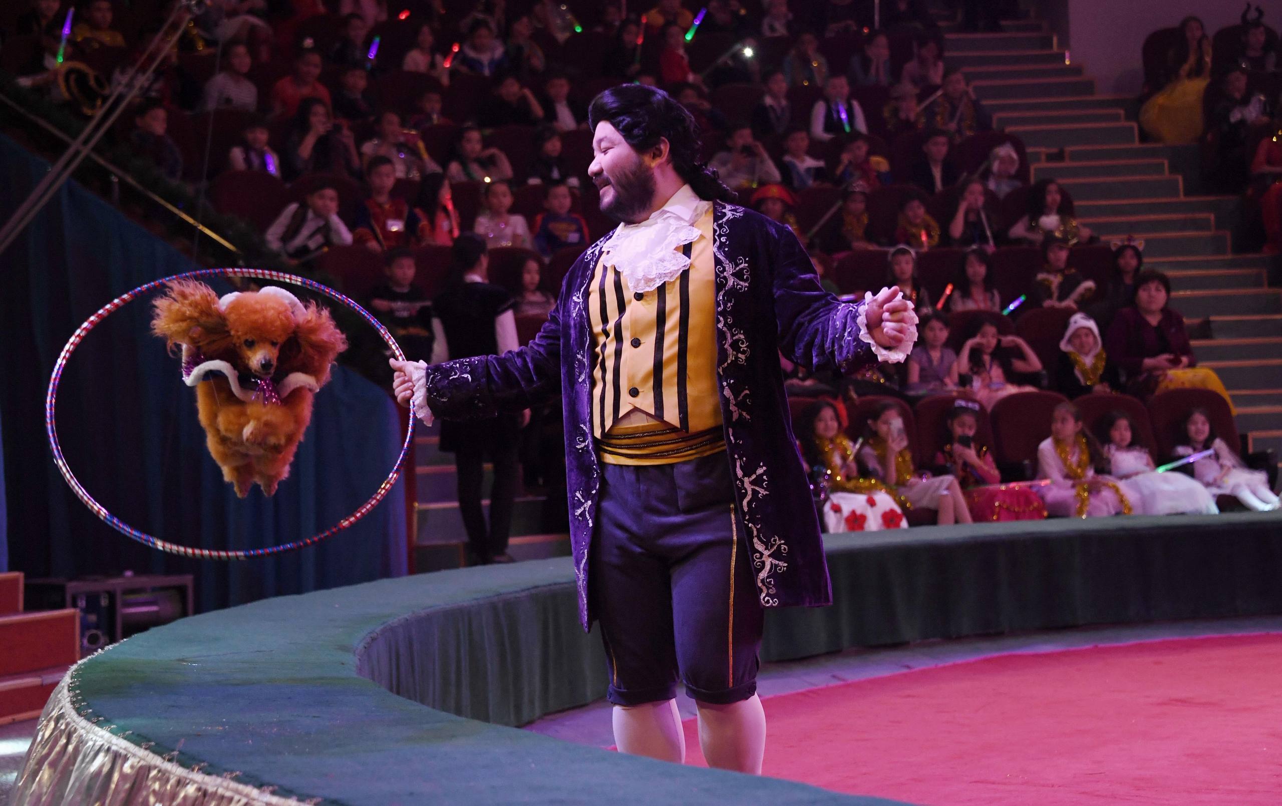 Алматы циркі Ташкентте бірден 2 жүлде алды