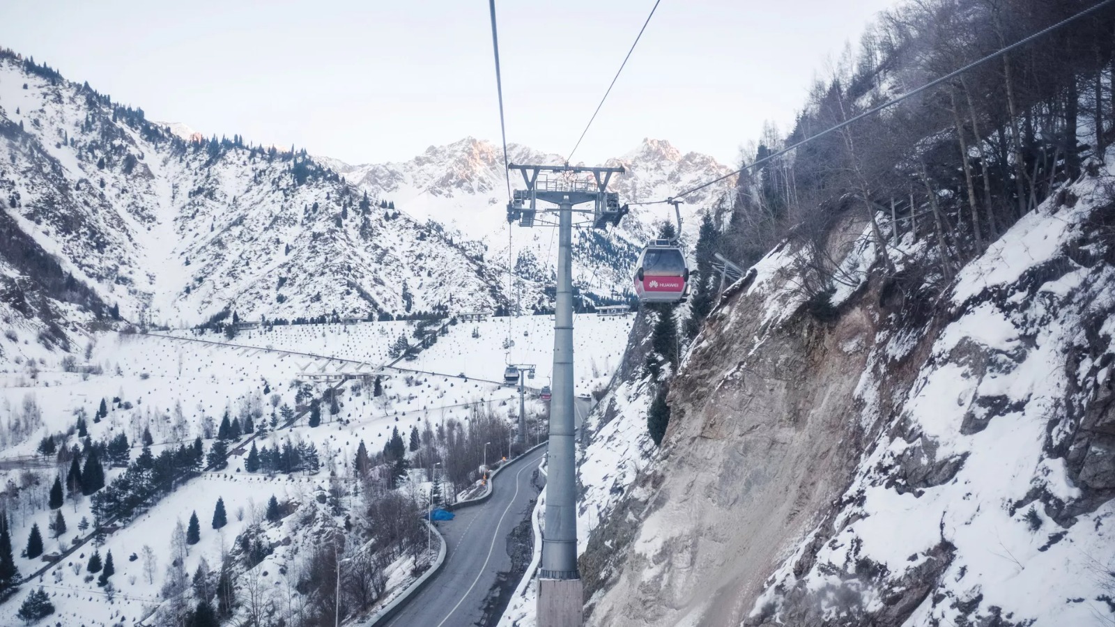 Шымбұлақта дауылдан алып ағаш құлады