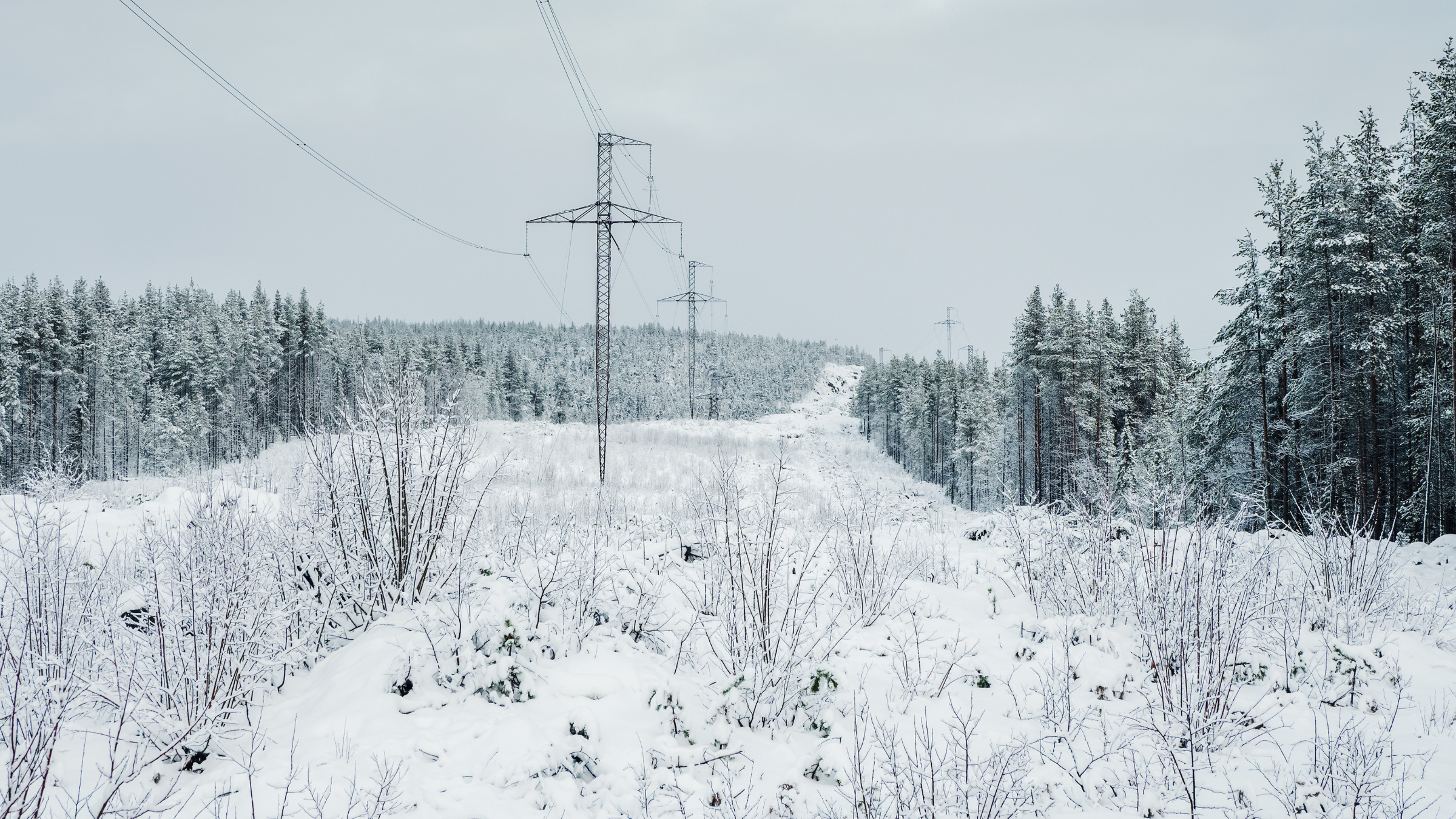 Қайтарылған жерлер кімдерге беріліп жатқаны мәлім болды
