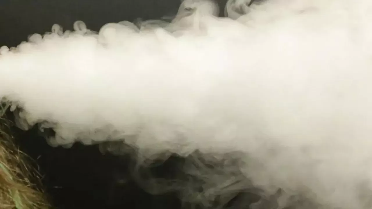 Запрещенный бизнес с миллиардным оборотом прикрыли в Алматы 