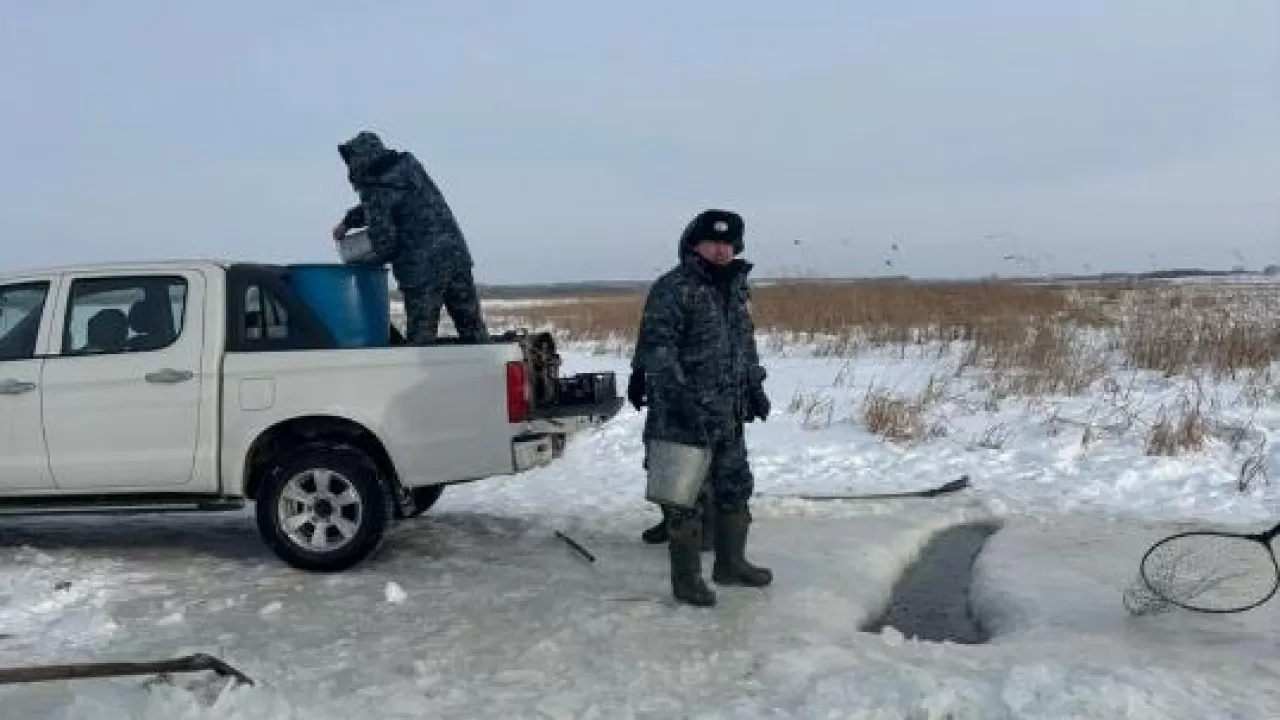 Рыбу спасают в СКО