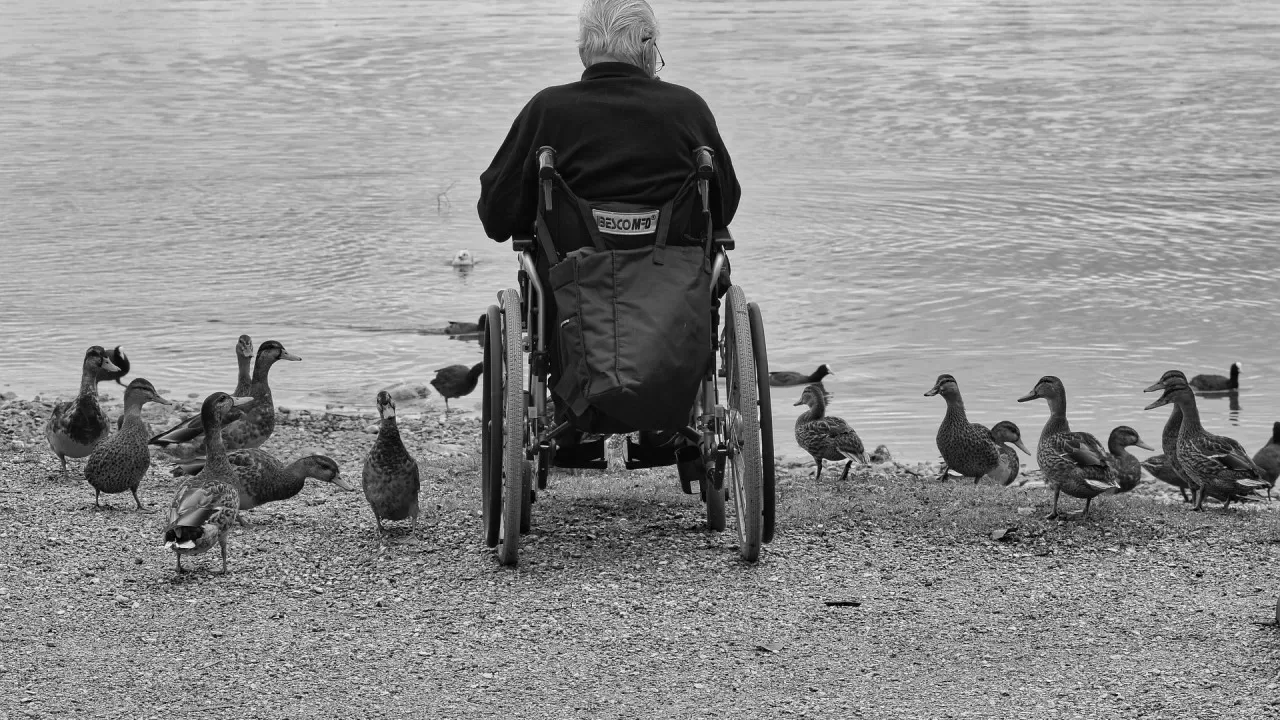 Инвалидность без очередей: как работает заочный формат 