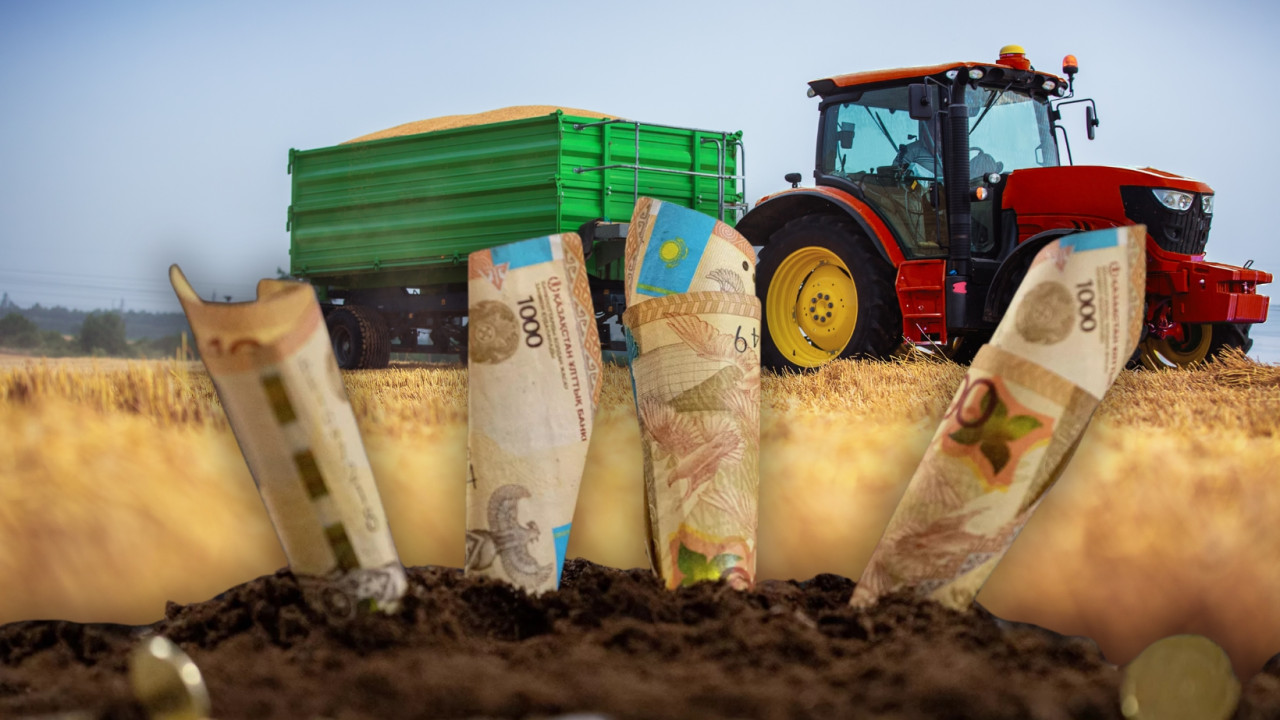 Ауыл шаруашылығында субсидиялар қалай беріледі және берешек неден туындады 
