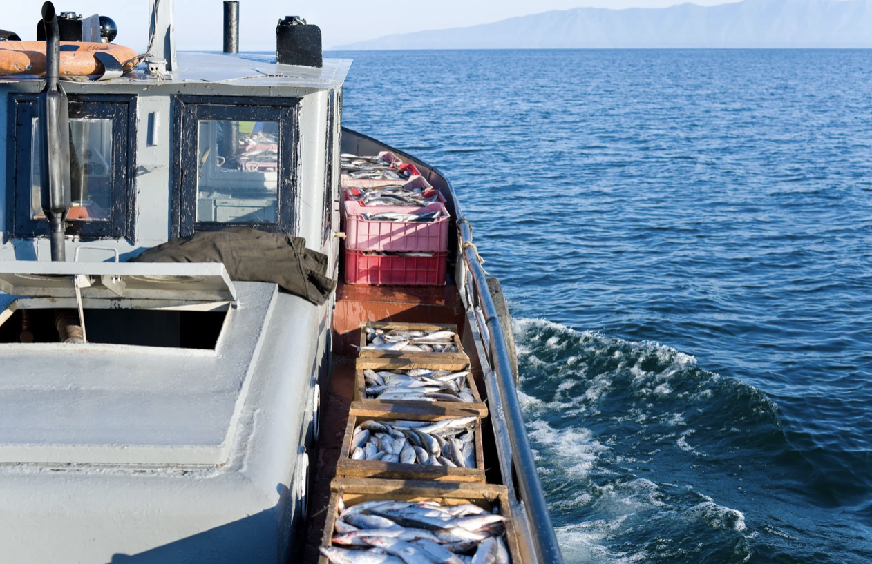 Қазақстанда балық өнімдерін өндіру көлемі артты