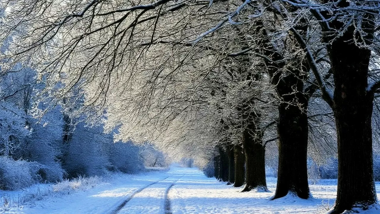 На севере и в центре Казахстана ожидается резкое похолодание