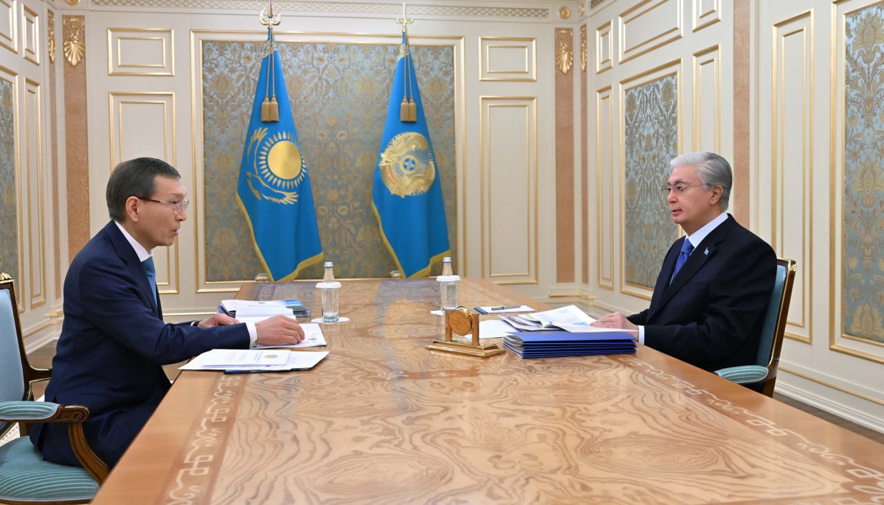 Президентке жаңа Конституция бойынша референдумға дайындық барысы таныстырылды