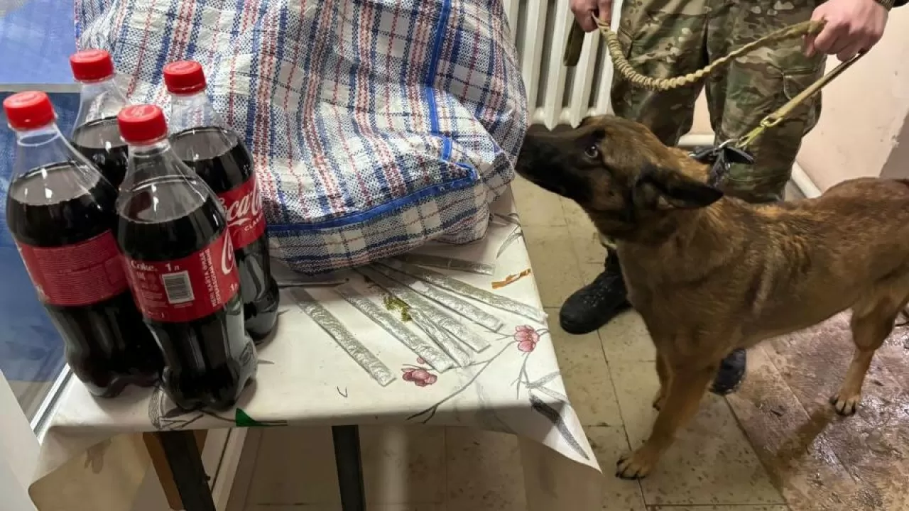 В ручке сумки пытались пронести наркотики в колонию Кызылординской области 