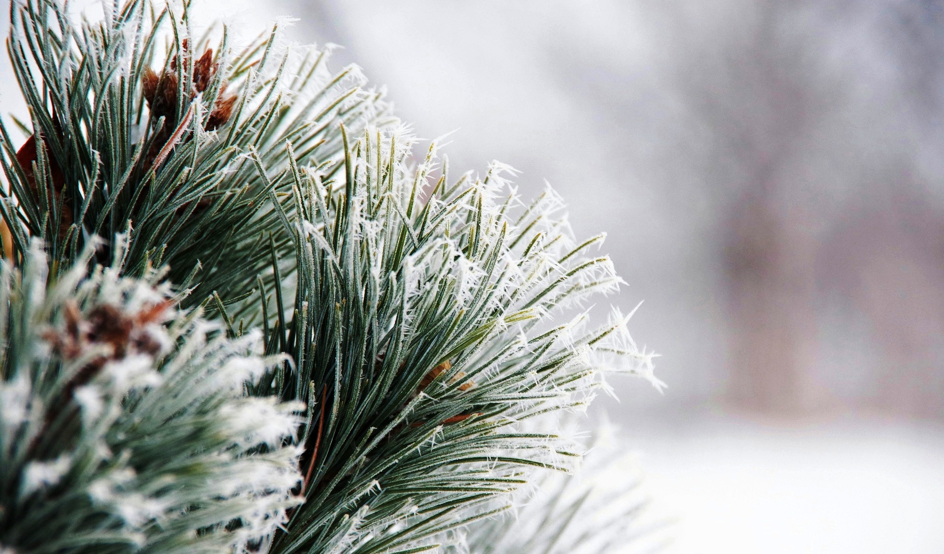 Морозный антициклон удержит Казахстан без осадков