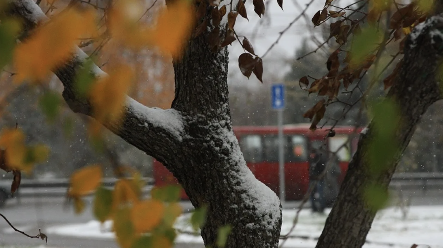 Cиноптиктер ақпан айына арналған ауа райы болжамын жасады