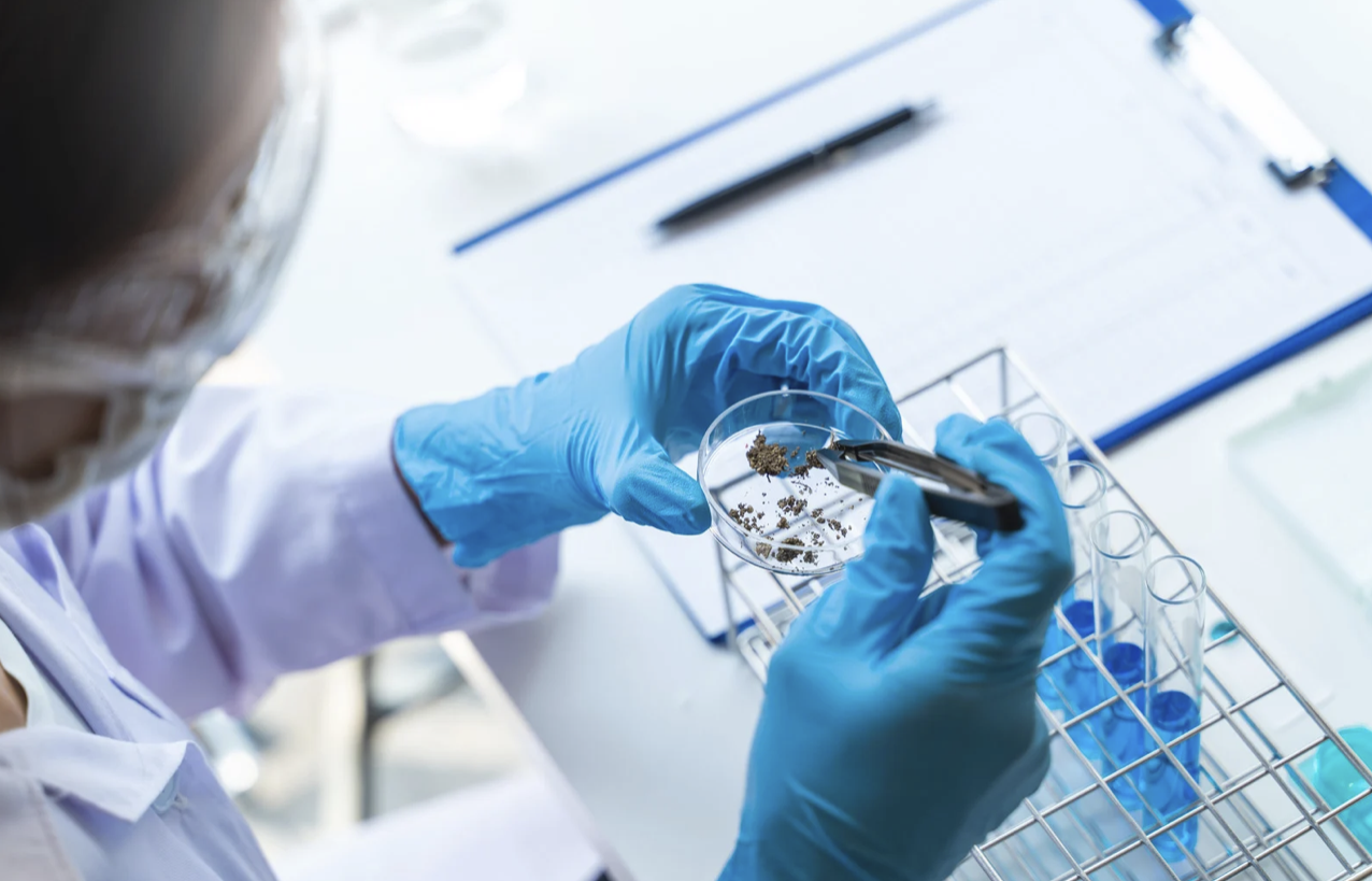 Ғылым саласындағы былық: 13,5 мың сарапшының 75%-ы іс жүзінде жұмысқа қатыспаған