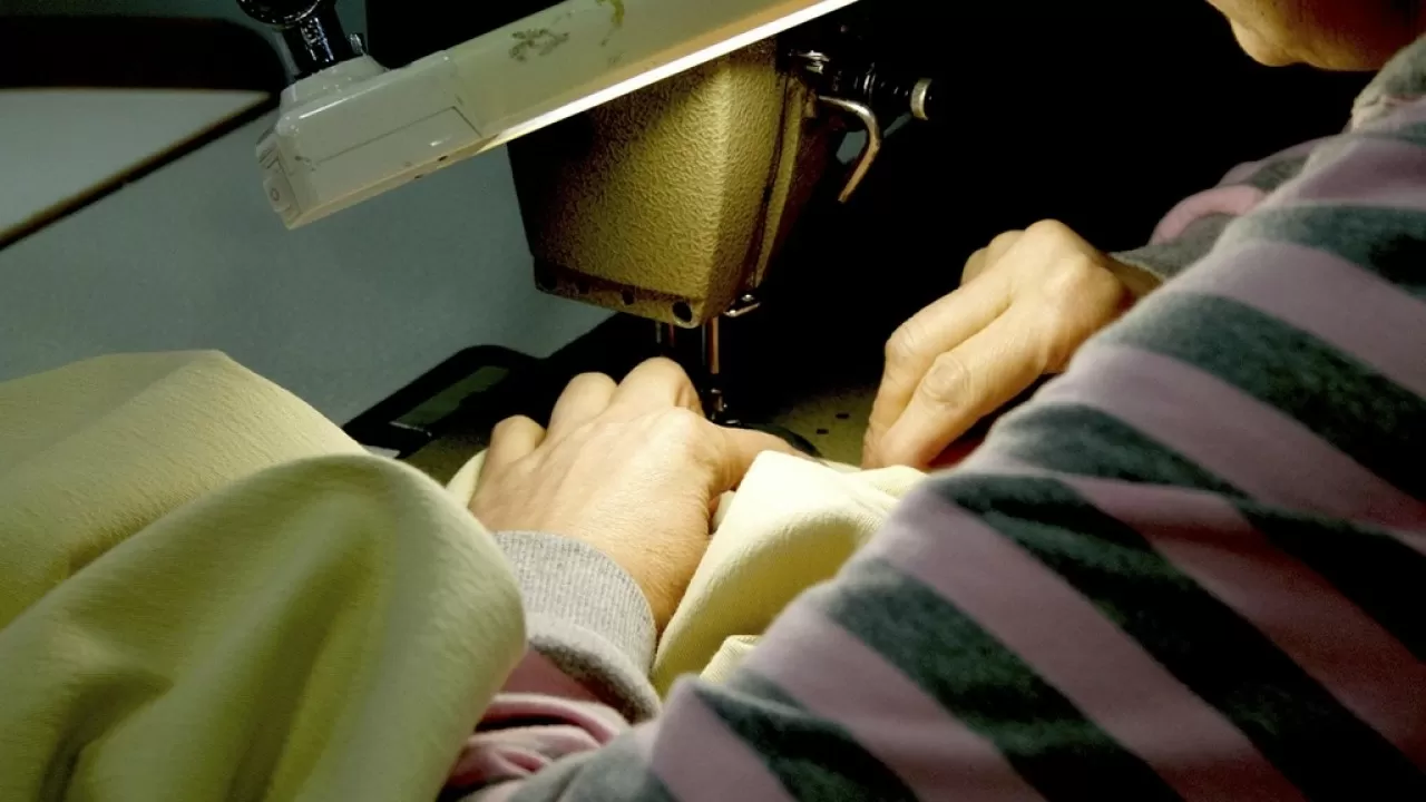 О промышленном производстве одежды из каннабиса задумались в соседней стране 