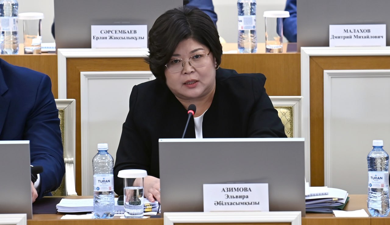 Конституциялық реформалар жөніндегі комиссияның референдум өткізу туралы шешім қабылдауға өкілеттігі жоқ &ndash; Эльвира Әзімова