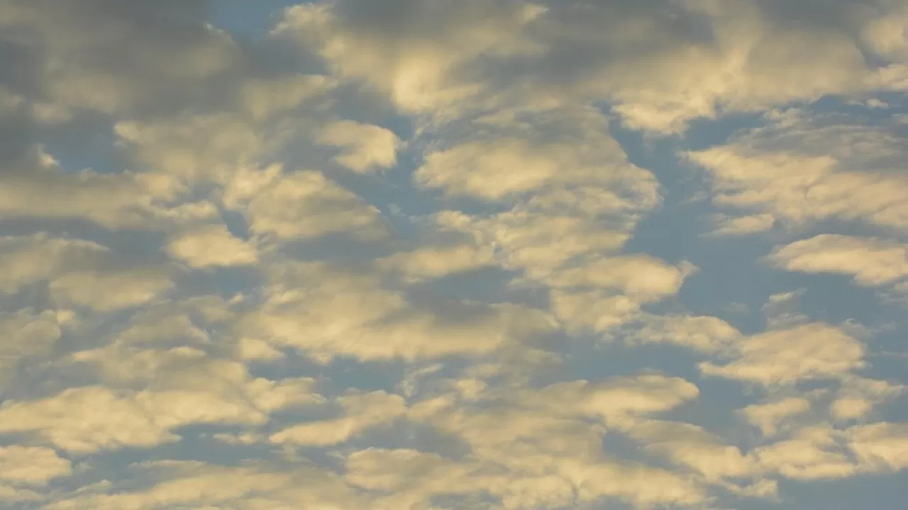 Режим НМУ объявлен в восьми городах Казахстана 