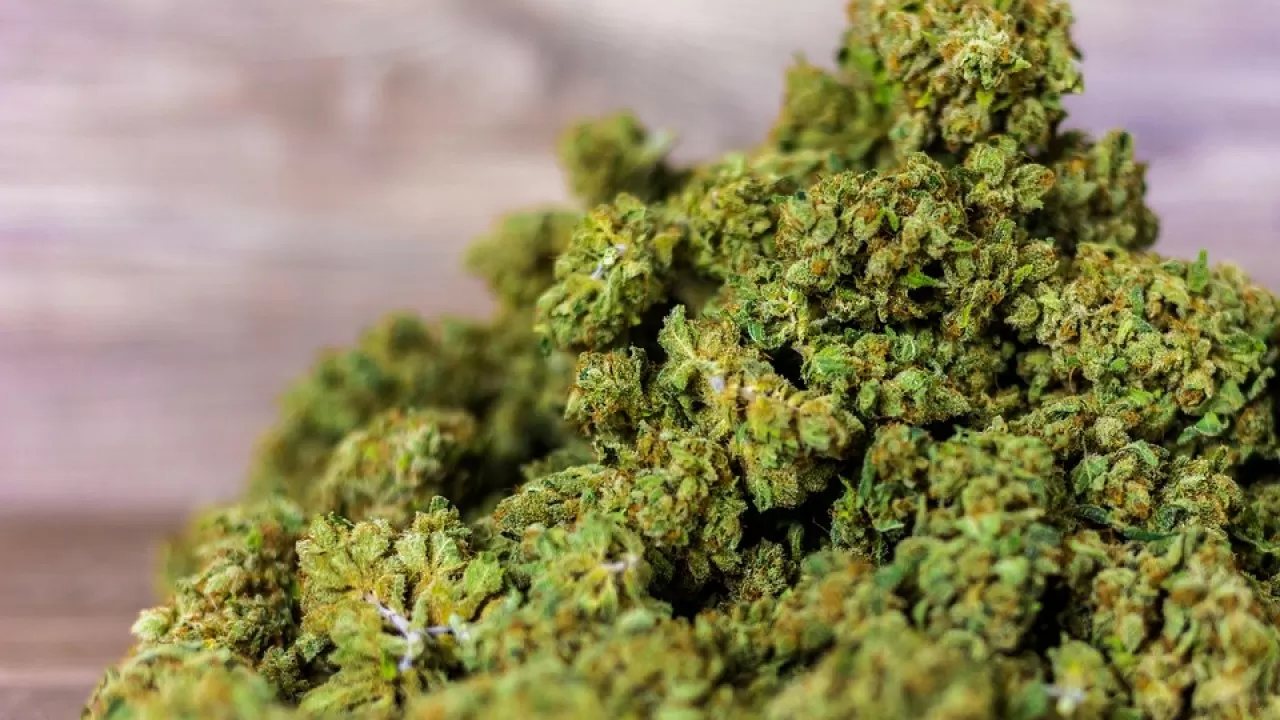 В Алматы изъяли более полутонны наркотиков 