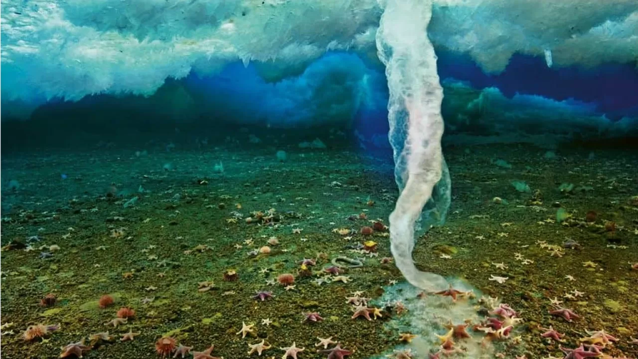 Палец смерти подо льдом Антарктики 