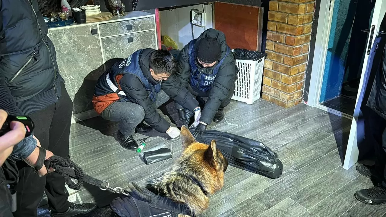 Қызылордада азот оксиді құйылған шарлар сатылған: тергеу басталды