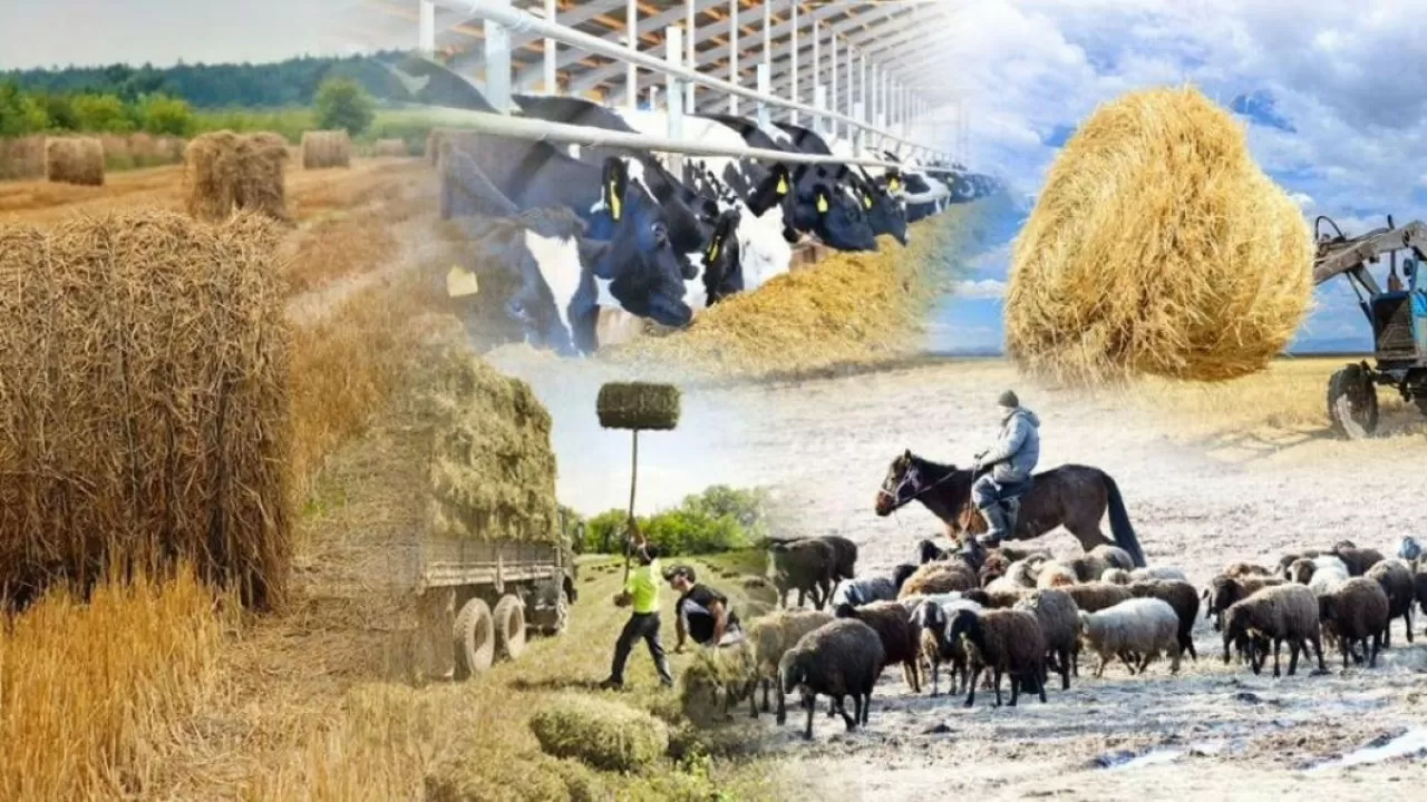 Сельское хозяйство делает ставку на кооперацию в РК 