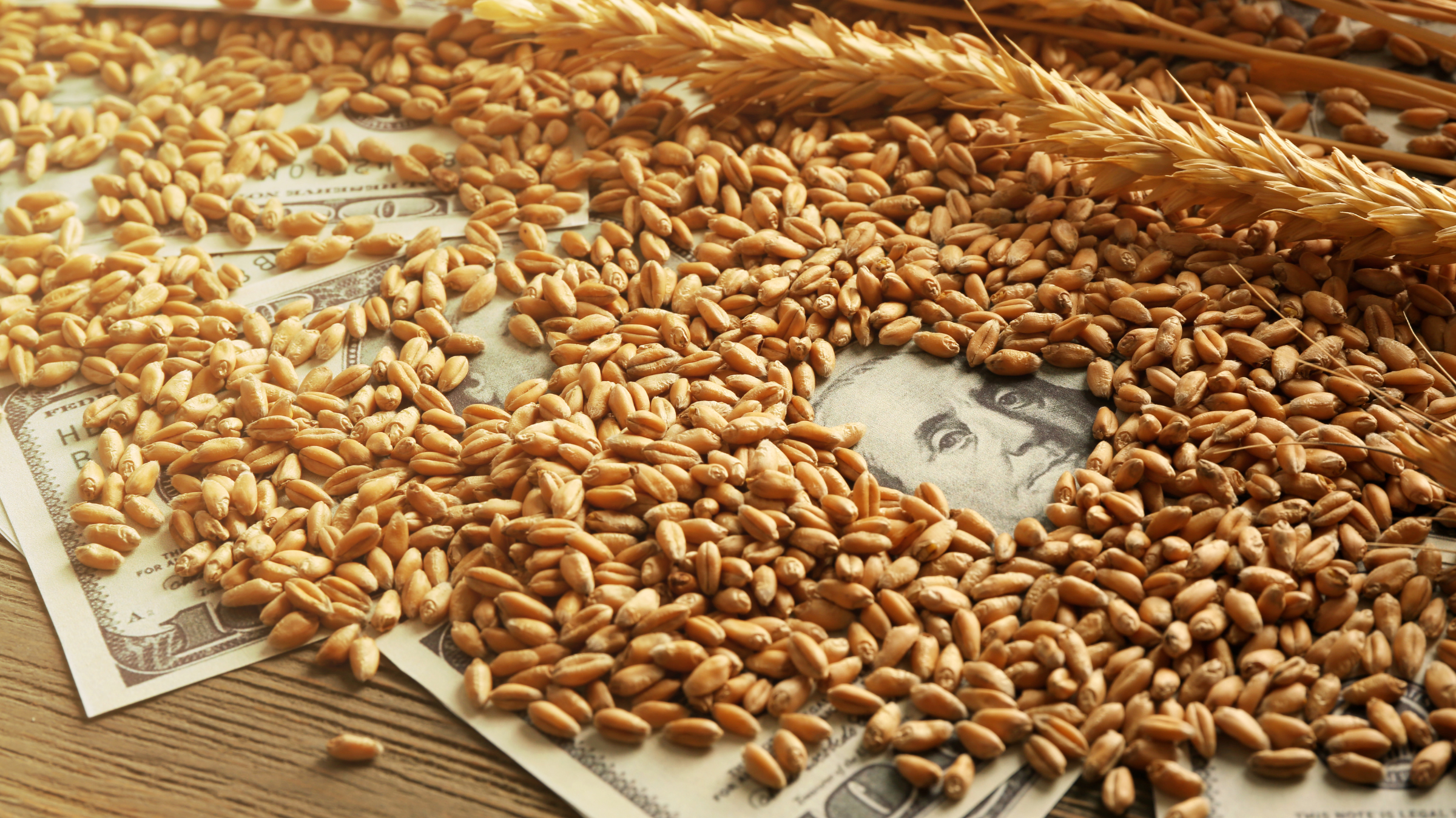 Еліміздің астық экспорты 1 млн тоннаға ұлғайды