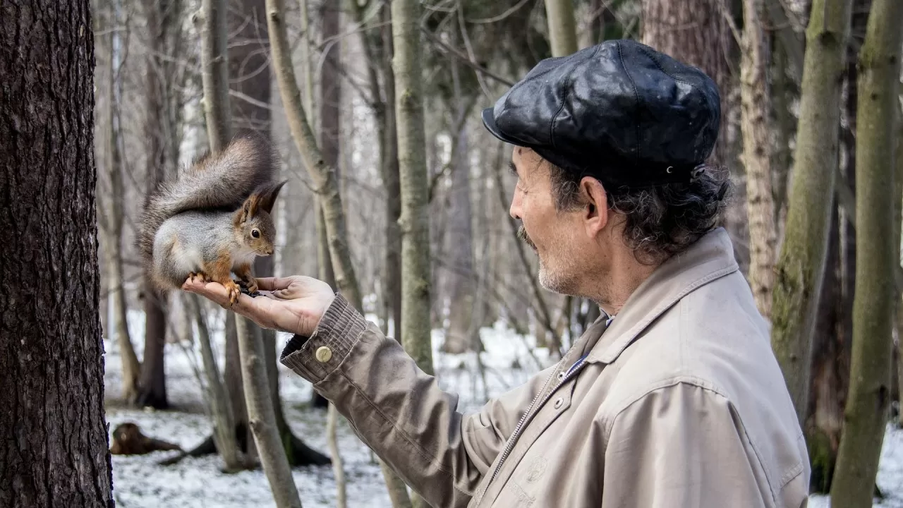 Чем безопасно угостить белок в городском парке 