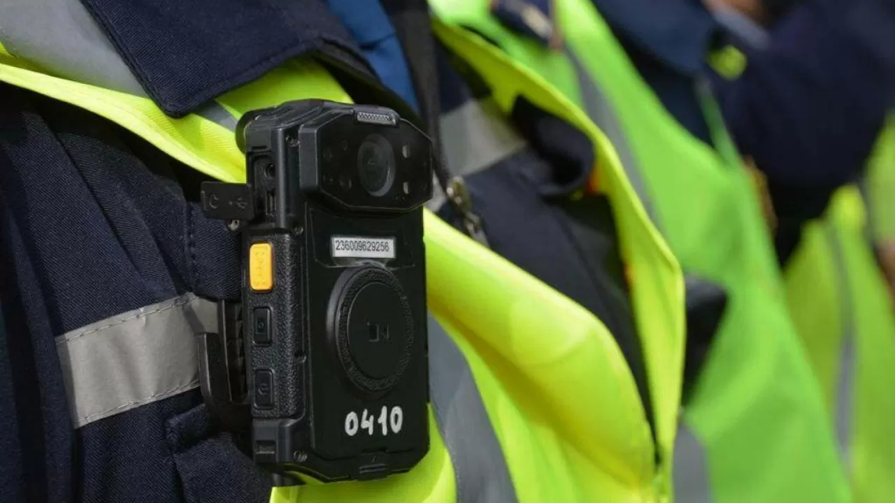 Отлов животных обернулся проверкой полиции в Семее 