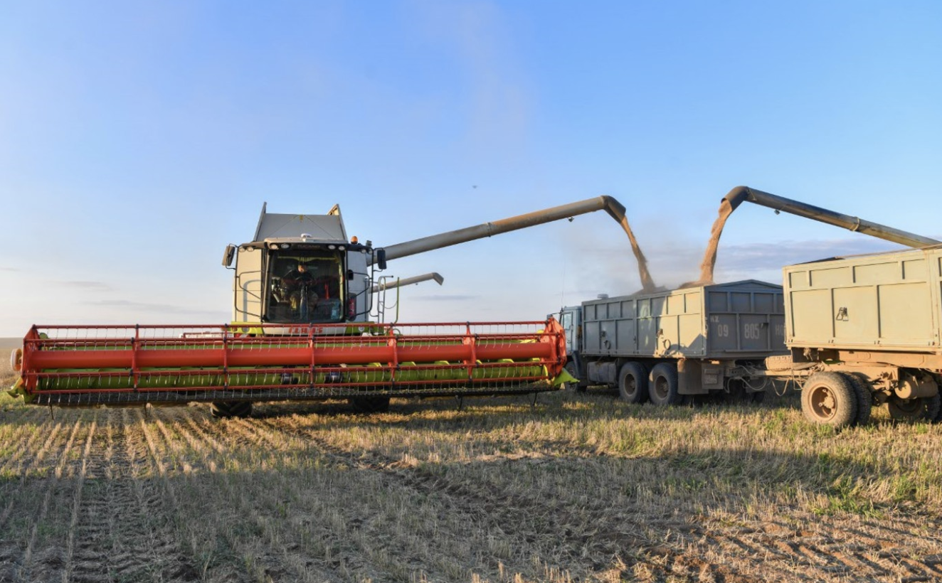 Қазақстандағы астық экспорты рекордтық көрсеткішке жетті