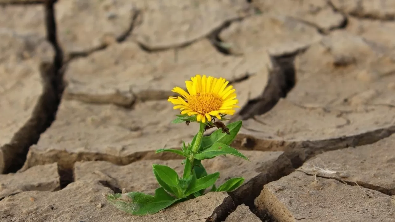 Обозначены ключевые климатические риски для стран Центральной Азии