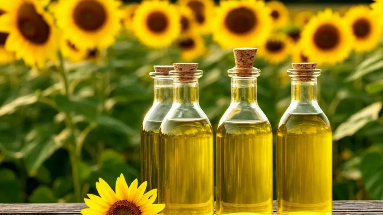 Казахстан стал крупным мировым экспортером двух новых товаров