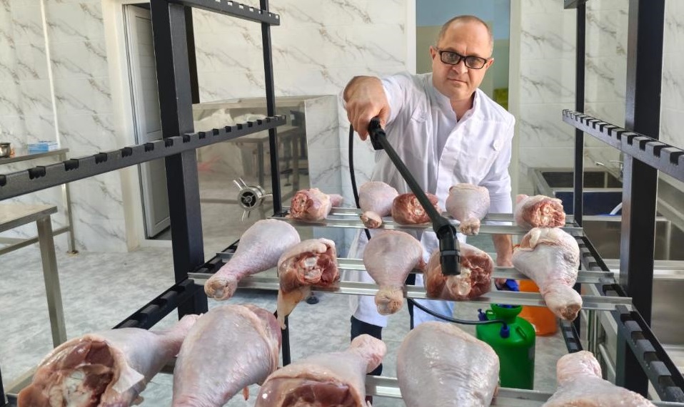 Ученые Казахстана продлили срок хранения курицы 