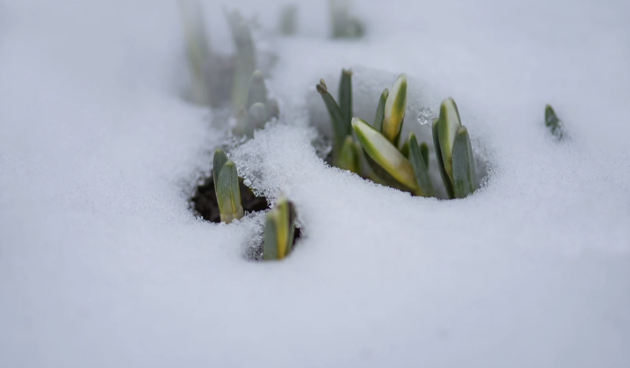Алдағы күндері күн қайта суытады