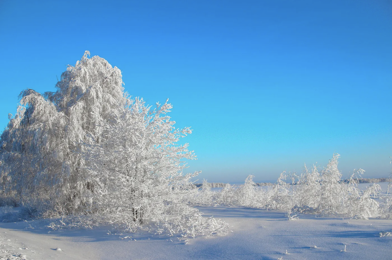 Қатты аяз, жаңбыр және бұрқасын: Қазақстанда ауа райы күрт бұзылады