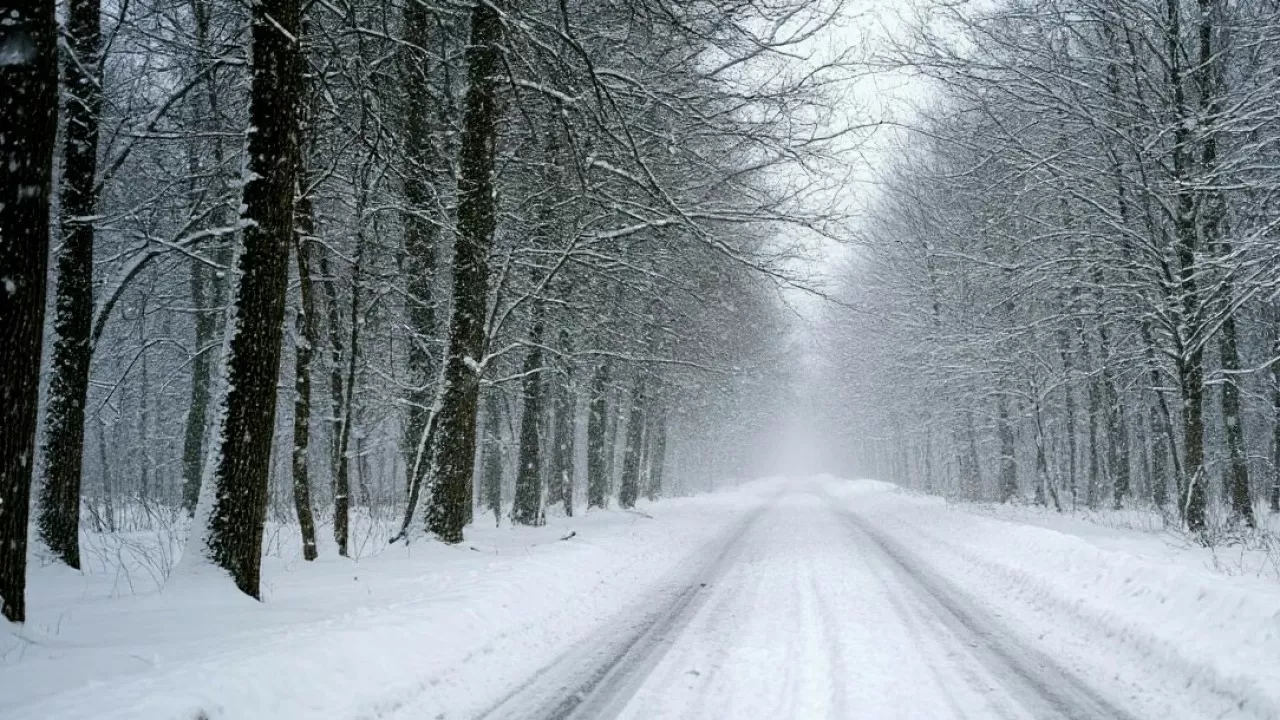От метелей до весеннего солнца: погода в регионах Казахстана резко меняется