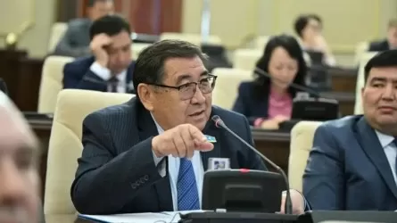 На опасения о возвращении семьи экс-президента ответил депутат 