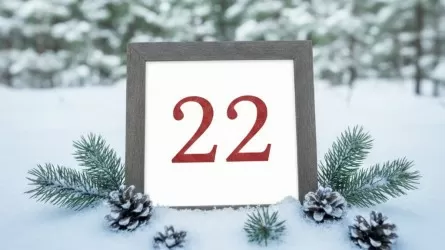 22 февраля отмечается Всемирный день борьбы с энцефалитом