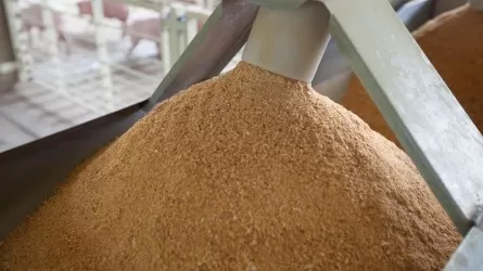 Свыше 12 тыс. тонн муки отправили в Китай 