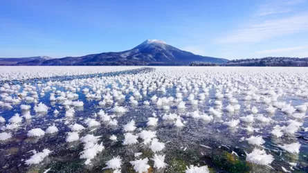 Зимняя магия: цветы изо льда и пара 