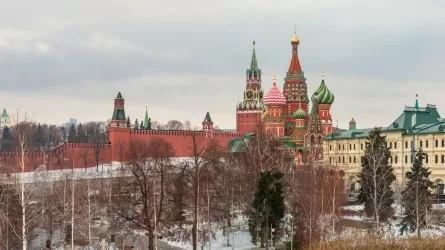 Россия теряет школы: дети массово переходят на семейное обучение