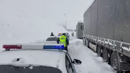 Полицейские спасли беременную дальнобойщицу в метель в Жамбылской области