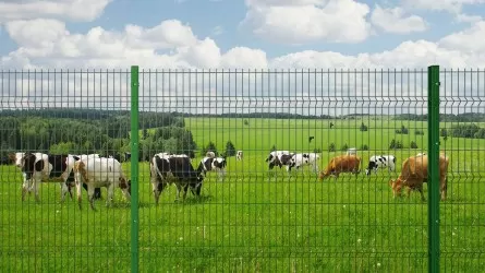 Ақсуда сатылып кеткен жайылым халыққа қайтарылды